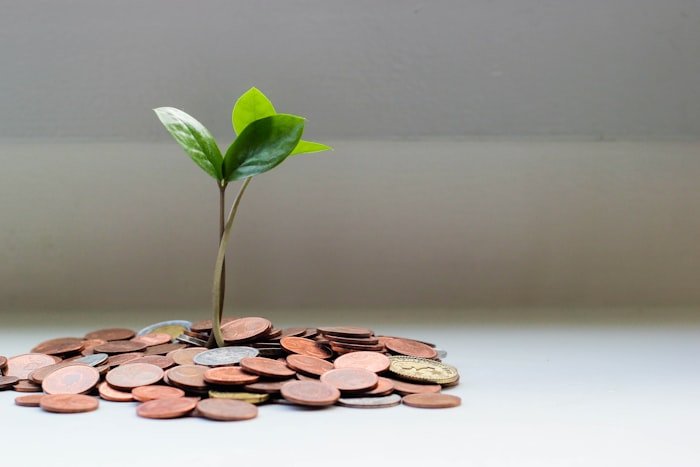 Built For Long-Term Investors